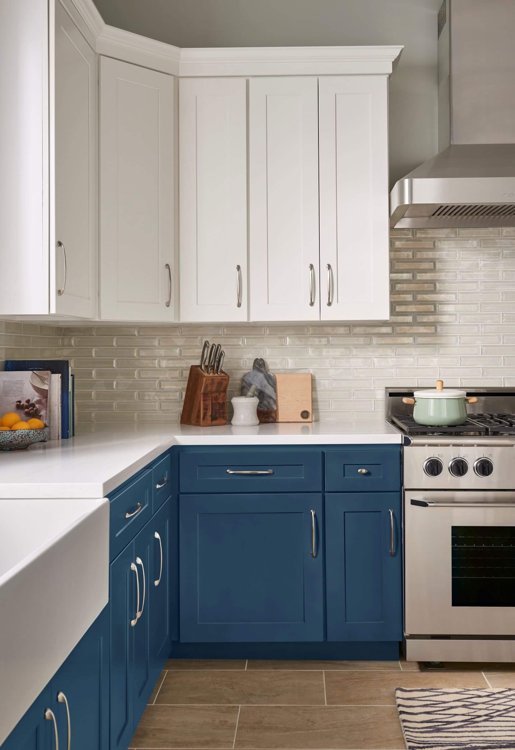 East Coast Ready to Assemble Cabinets - white and blue kitchen cabinets